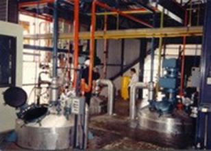 Di-Keto Pyrrol Pyrrol Manufacturing Plant